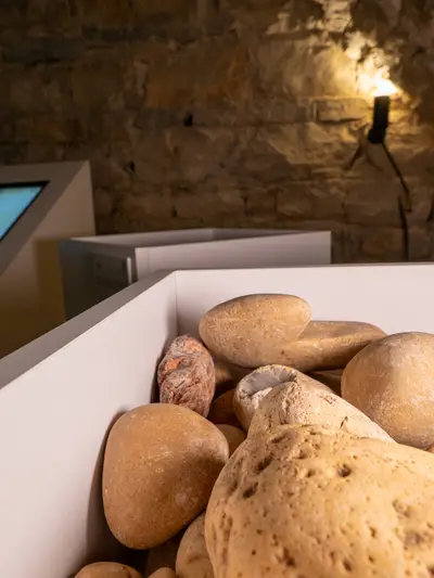 Sala de terruños: tabletas interactivas para explorar suelos y regiones vinícolas
