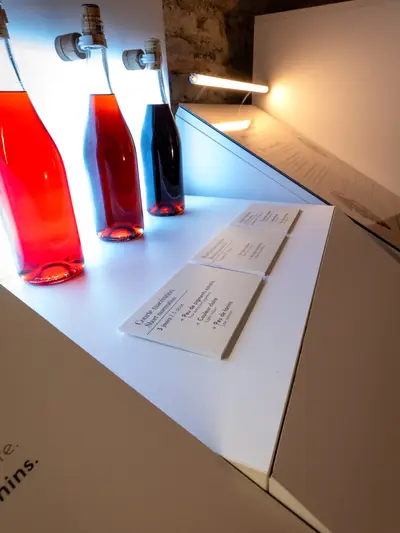 Sala de vinificación: comprender la transformación de la uva a la copa