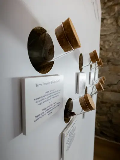 Sala de los sentidos: rueda de aromas y ejercicios sensoriales para aprender a catar