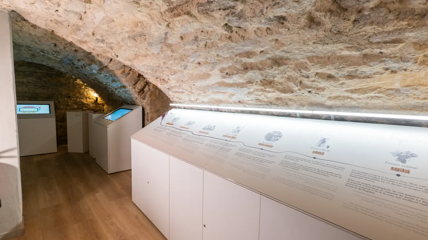 Caves voûtées du 18e siècle, cadre unique pour vos séminaires d'entreprise à Lyon
